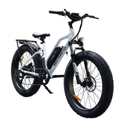 Aostirmotor S07-G Electric Mountain Bike