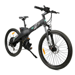Ecotric Seagull Electric Mountain Bicycle - Matt Black