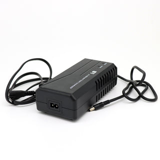Aostirmotor 48v Charger