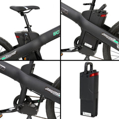 Ecotric Seagull Electric Mountain Bicycle - Matt Black