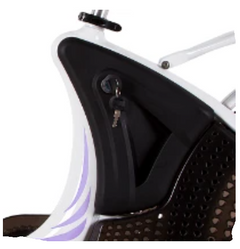 Replacement Battery for ECOTRIC Lark Ebike