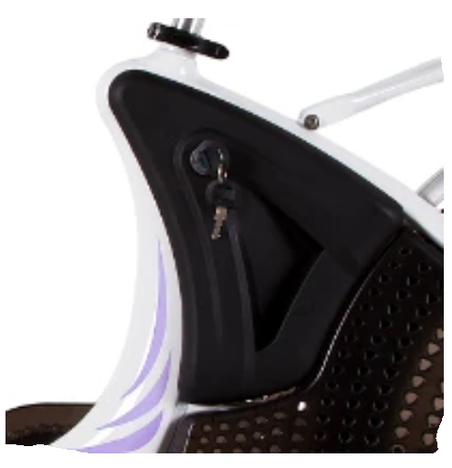 Replacement Battery for ECOTRIC Lark Ebike